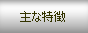 主な特徴