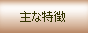 主な特徴